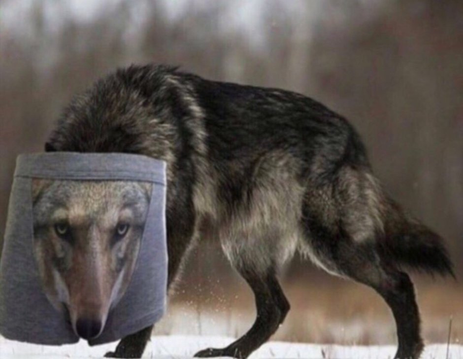 Мужик с волком