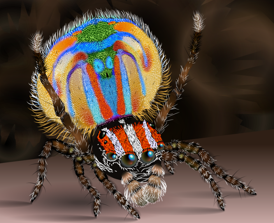 Паук птицеед Avicularia versicolor