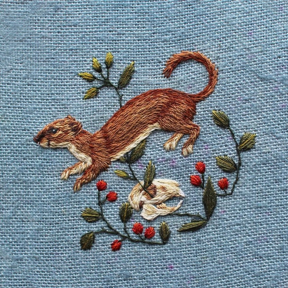 Горностай (Mustela erminea)