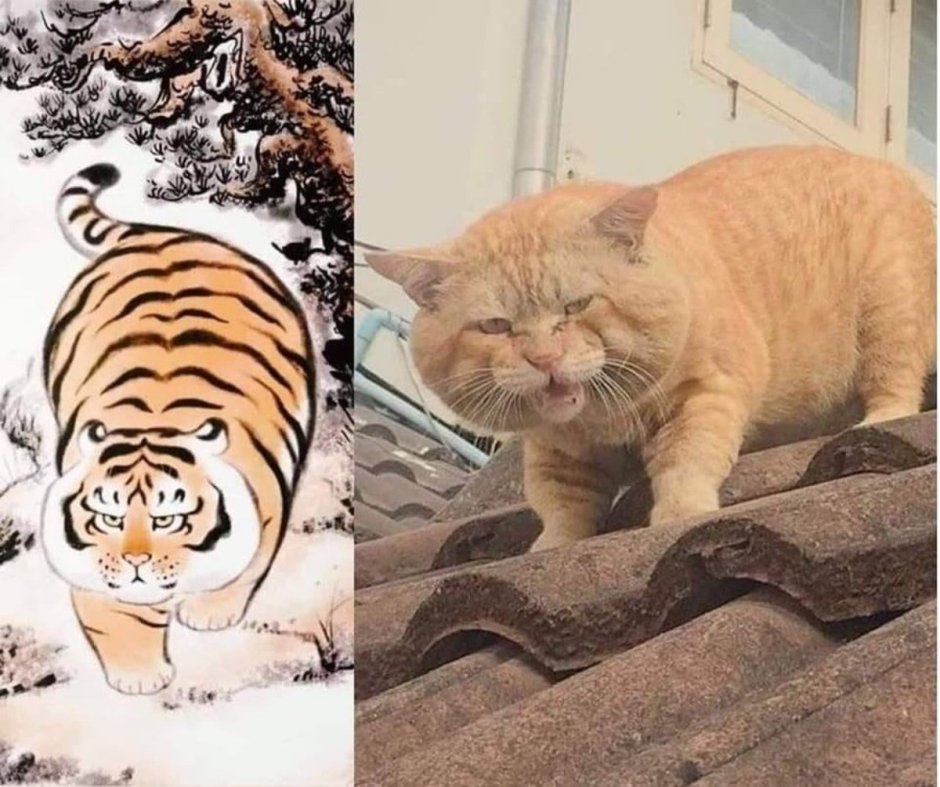 Леопардовая кошка Оцелот