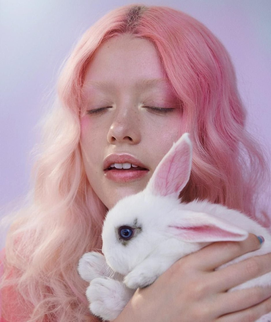 Little Cotton Rabbit баран