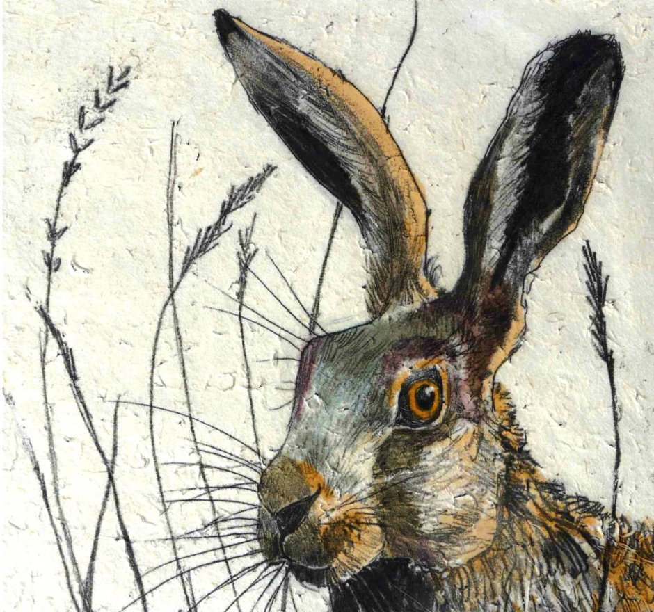 Мордашка зайчика