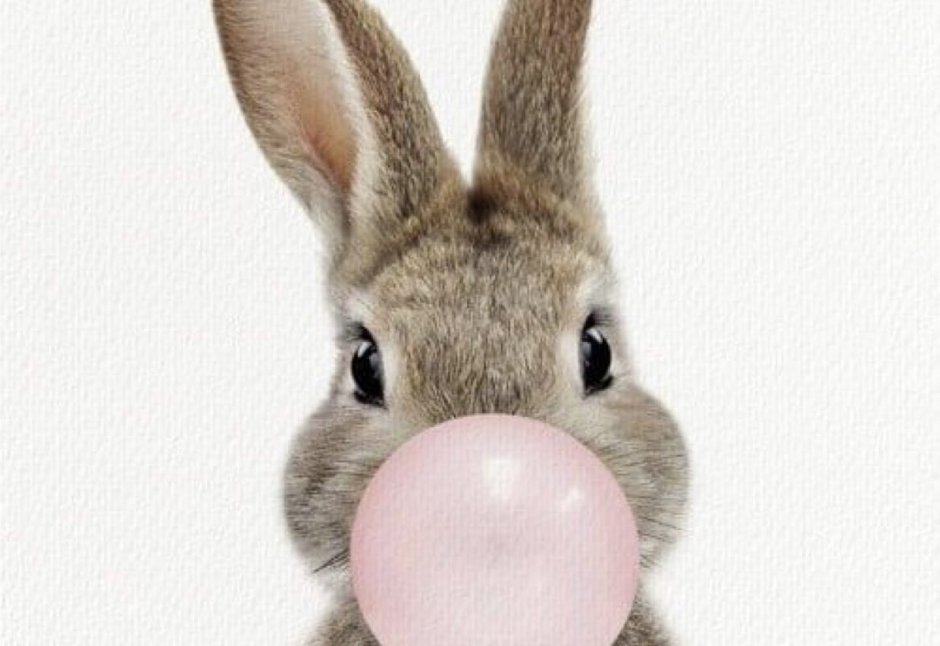 Валяные игрушки зайки