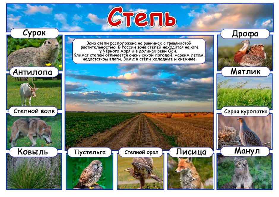 Монгольский дзерен