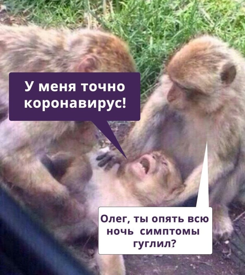 Похож на обезьяну