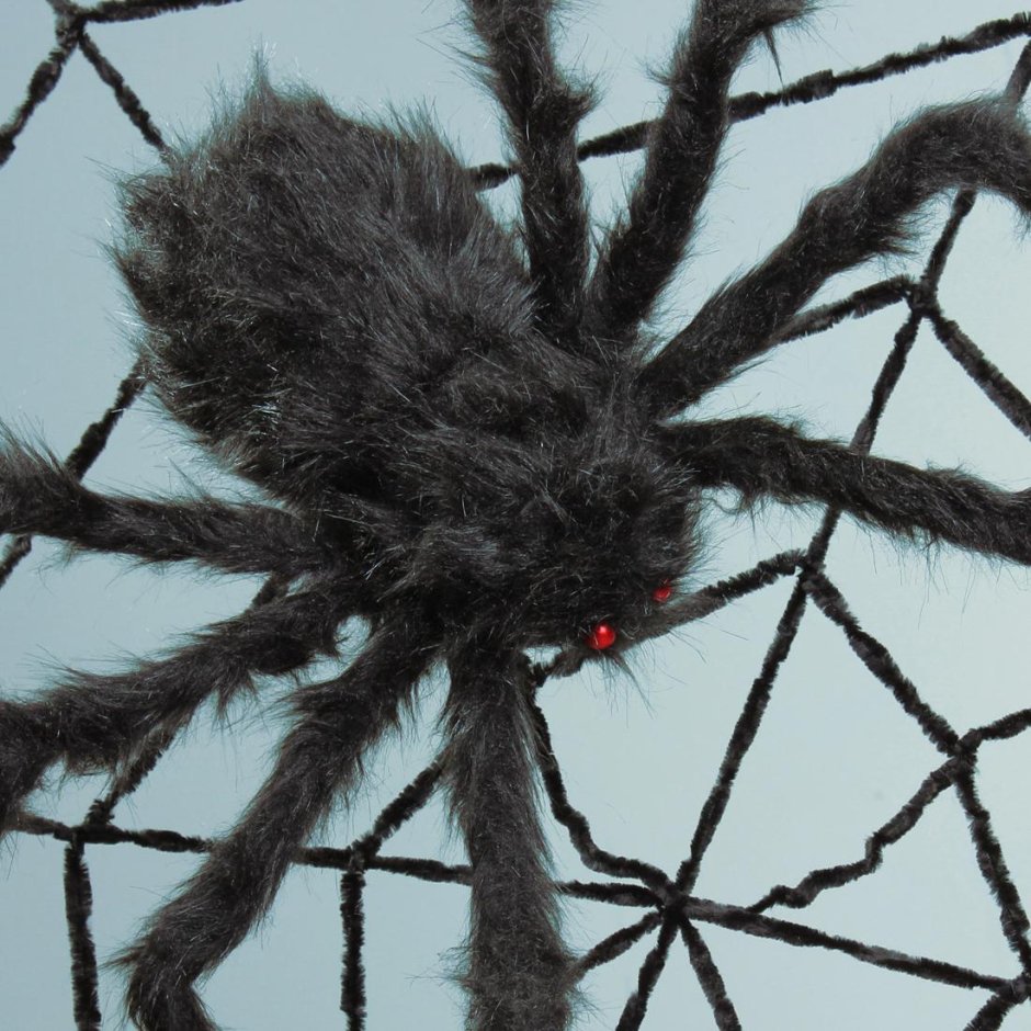 Мохнатый паук