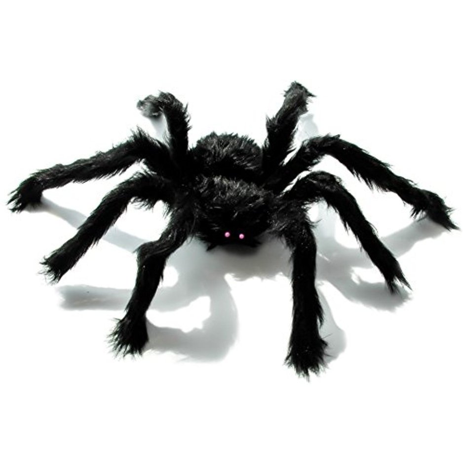 Черный мохнатый паук