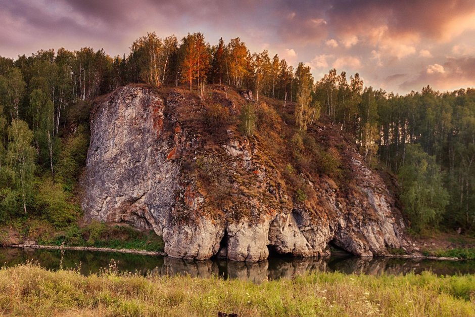 Лиса в Самарской области