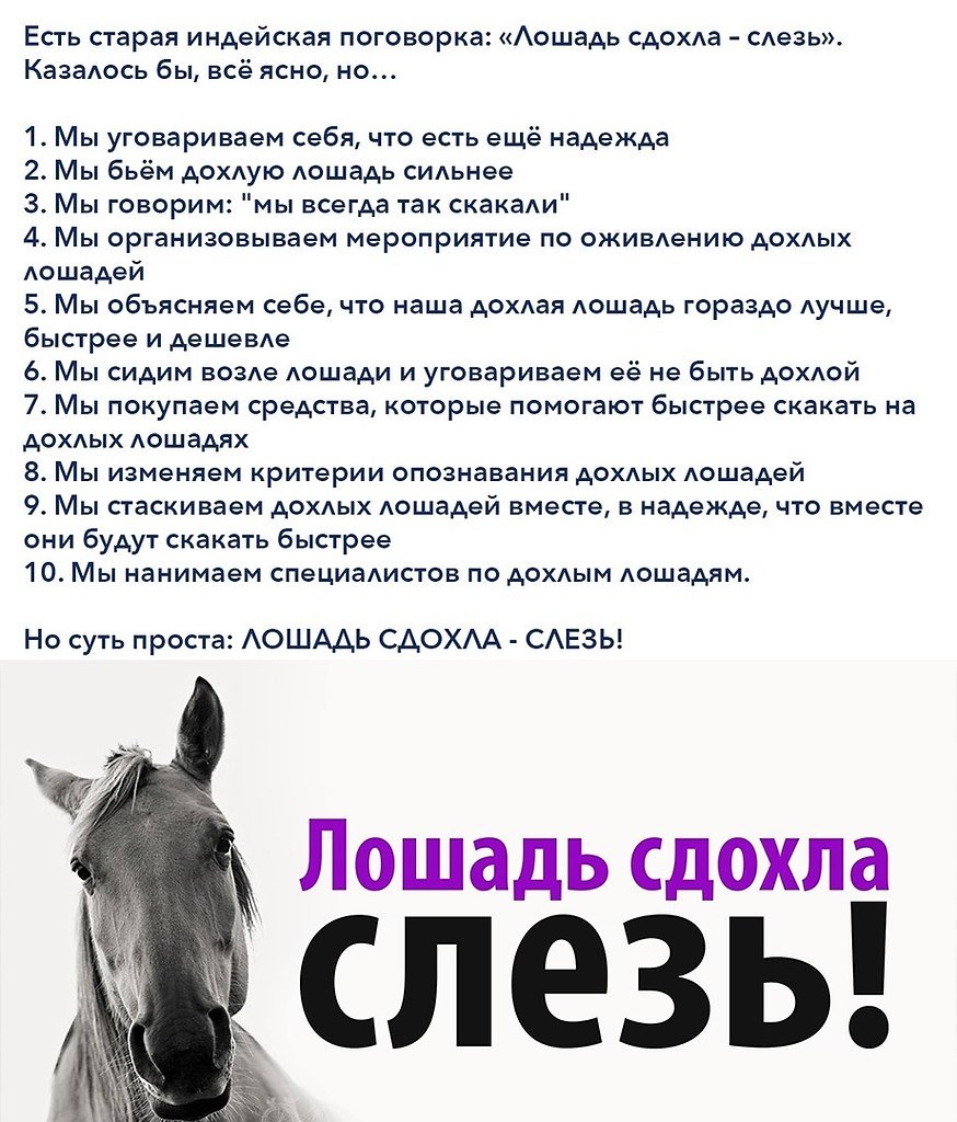 Самая длинная лошадь