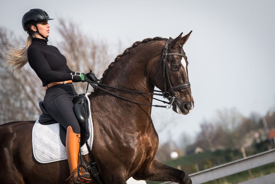 Красивые всадницы в спортивной форме