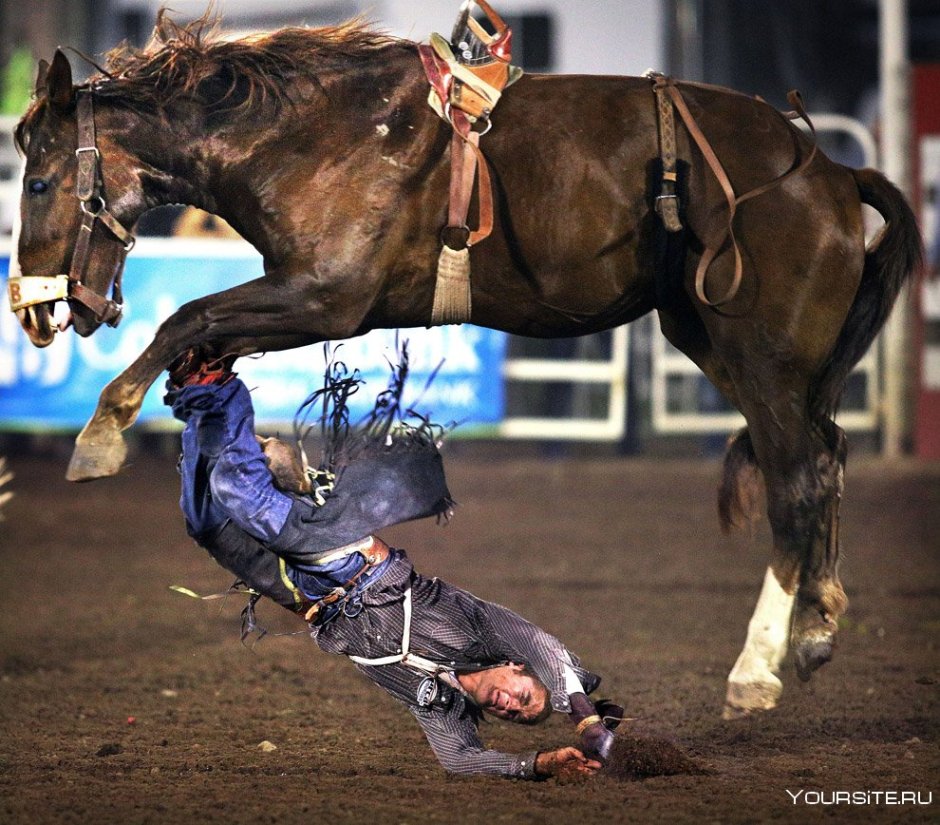 Всадник верхом на лошади