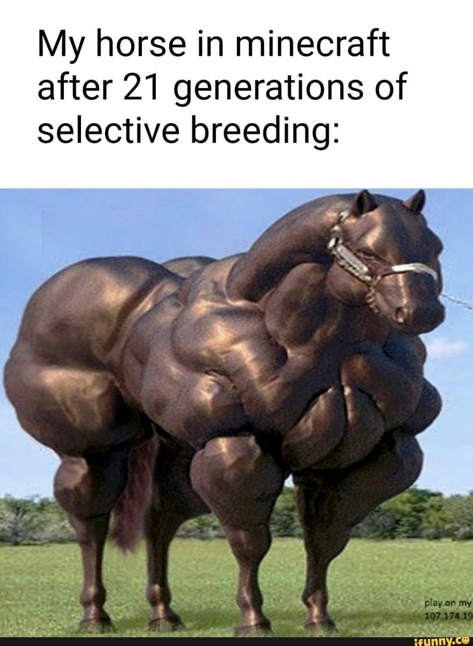 Накаченная лошадь