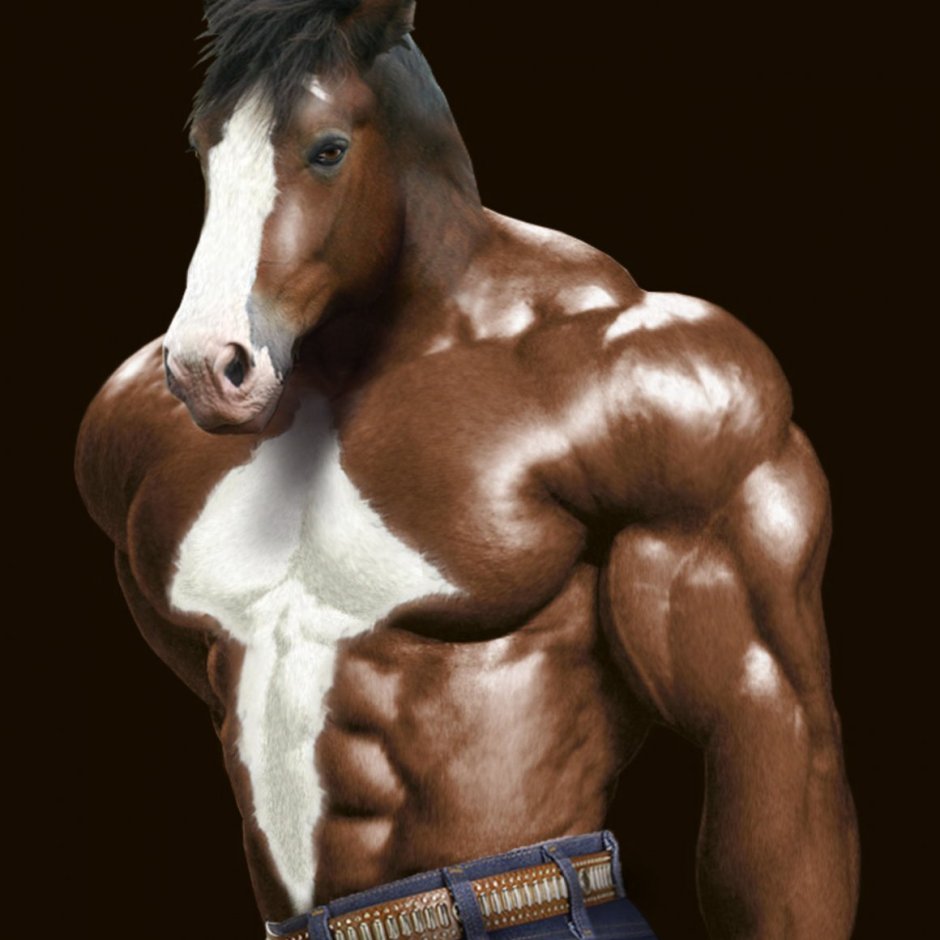 Возбужденный жеребец тяжеловоз