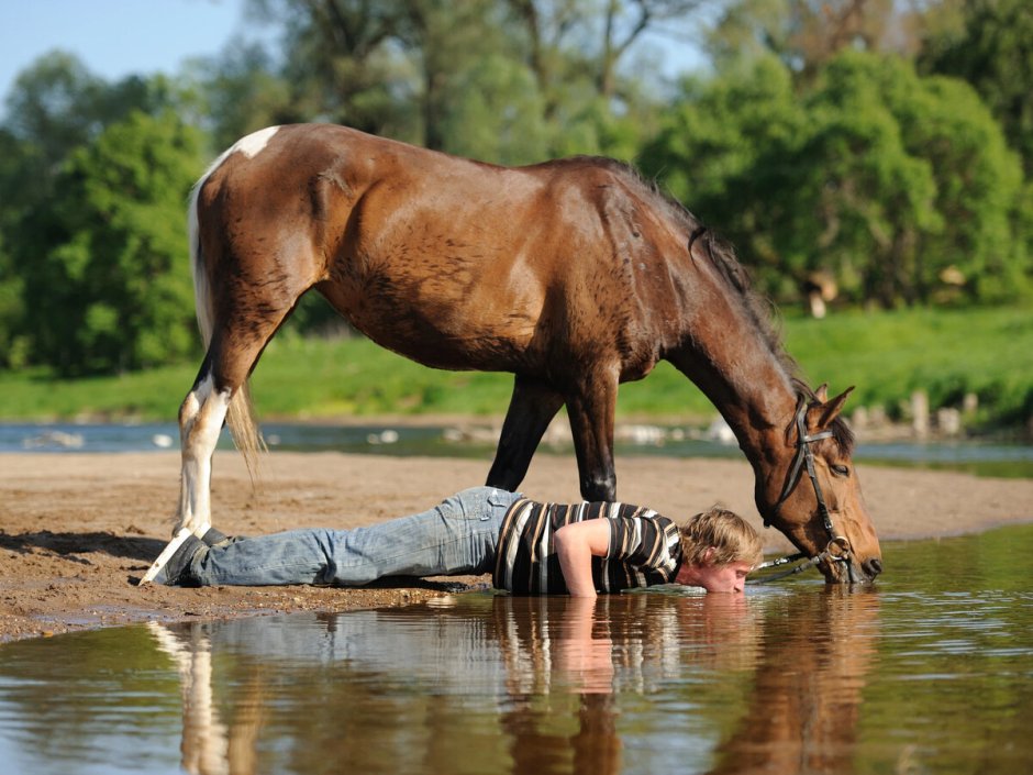 Строптивая лошадь