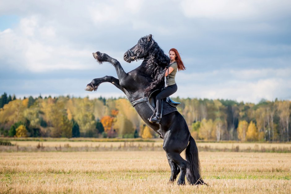 Сальто на лошади