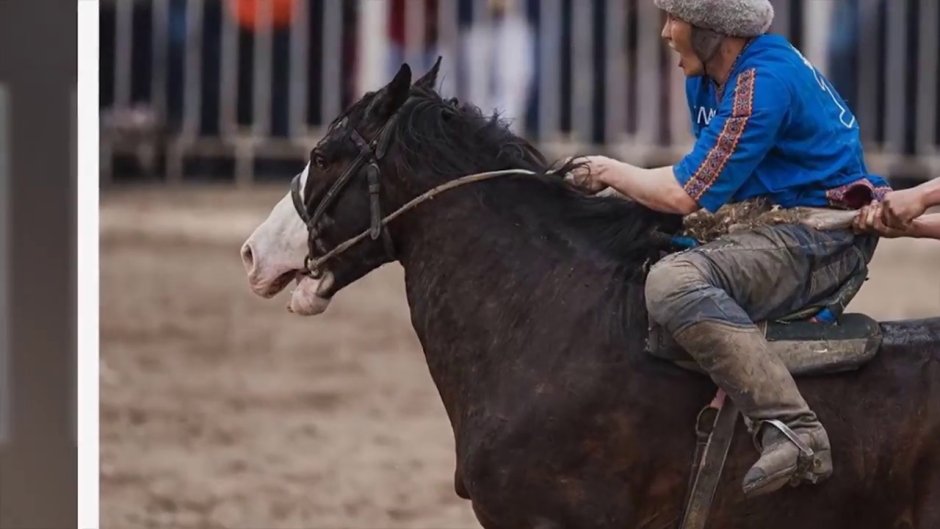 Мощная лошадь