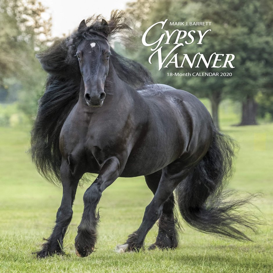 Horse Calendar