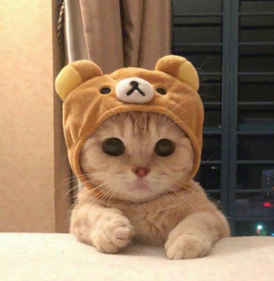 Кротик в костюме мишки