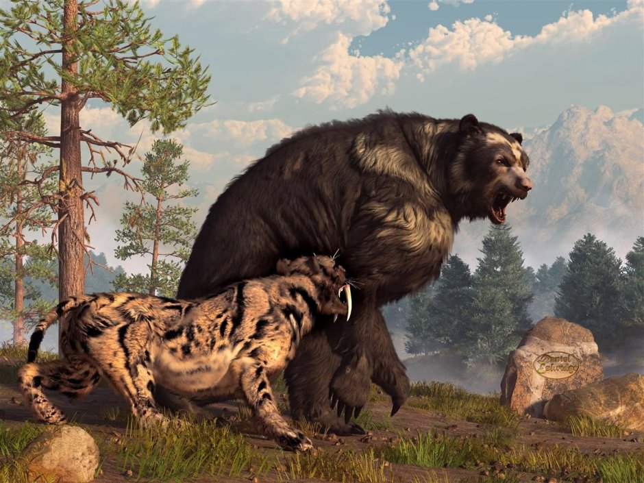 Пещерный медведь Ursus spelaeus