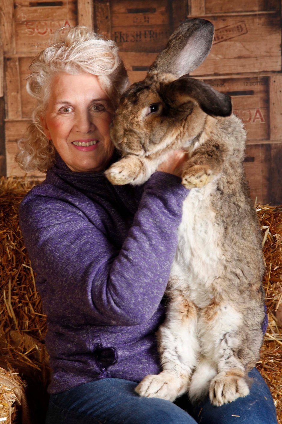 Самый большой великан кролик в мире