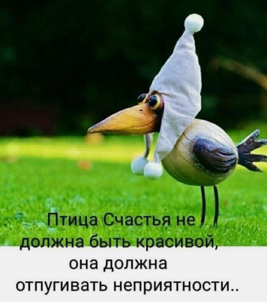 Птица счастья не должна