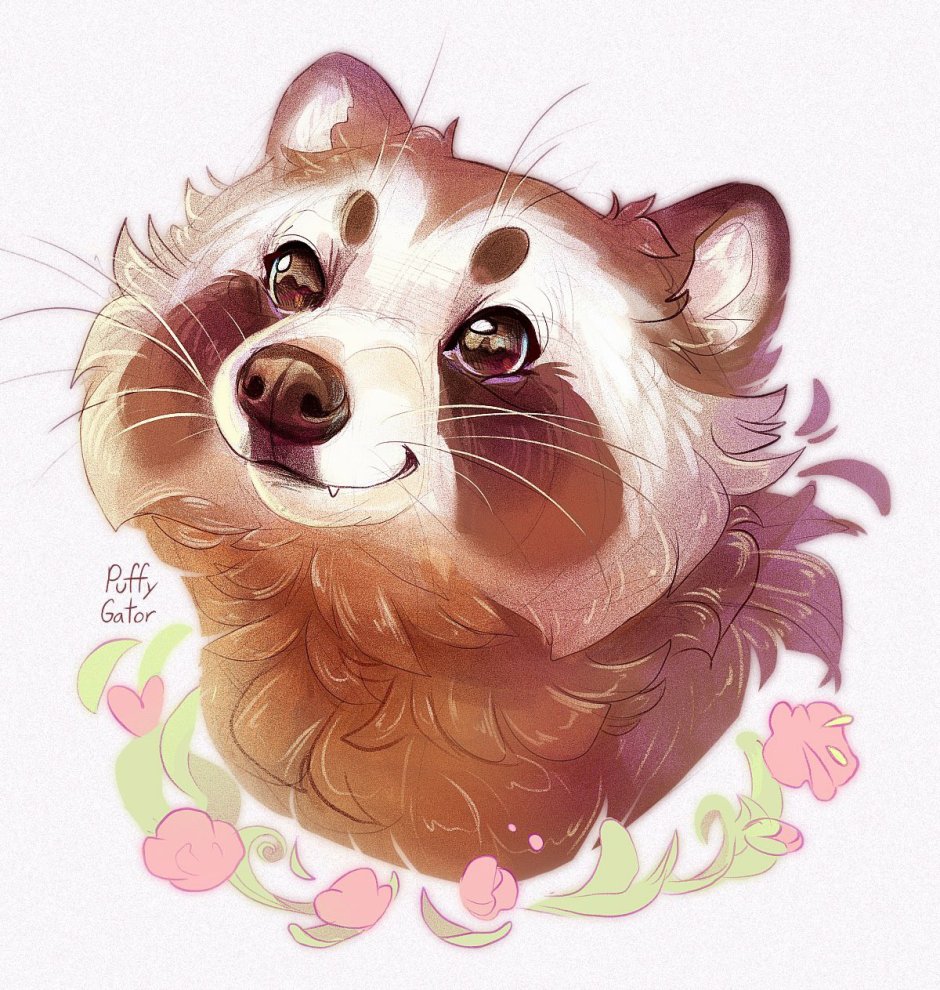 Милый Тануки