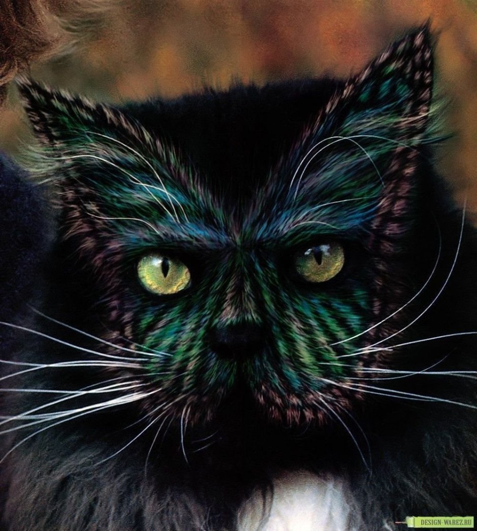 Необычные окрасы кошек