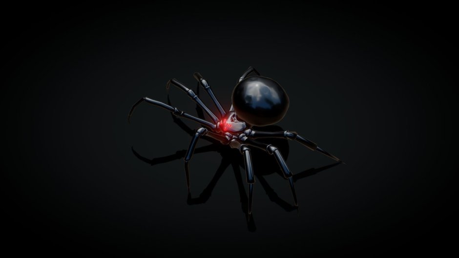 Паук Trapdoor Spider