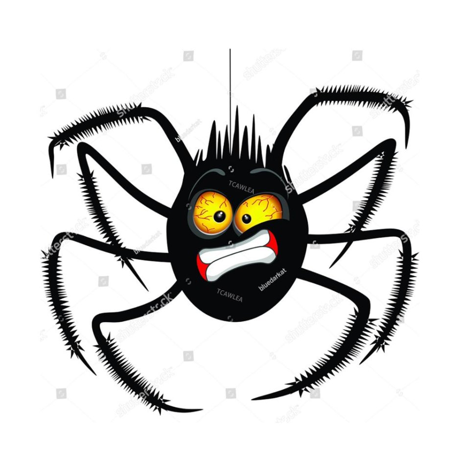 Пауки вида Theridion grallator