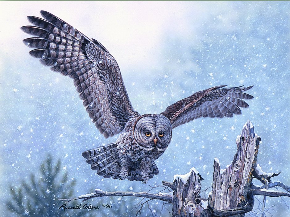 Художник Russell Cobane Owl