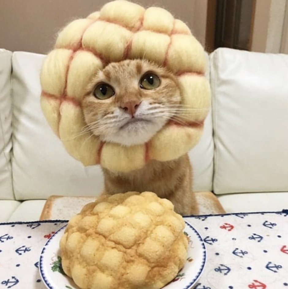 Кот с пирогом