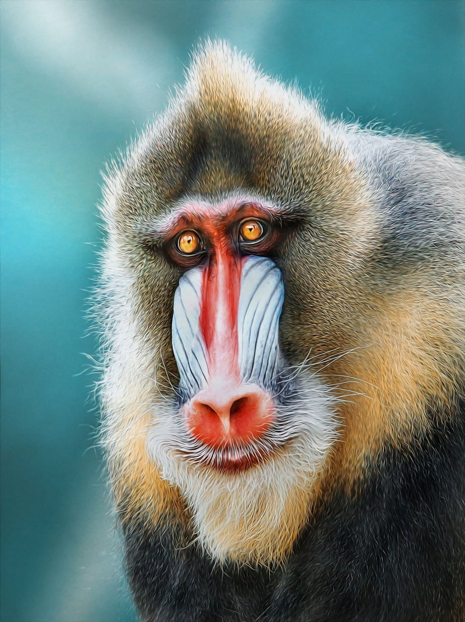 Мандрил обезьяна орангутан