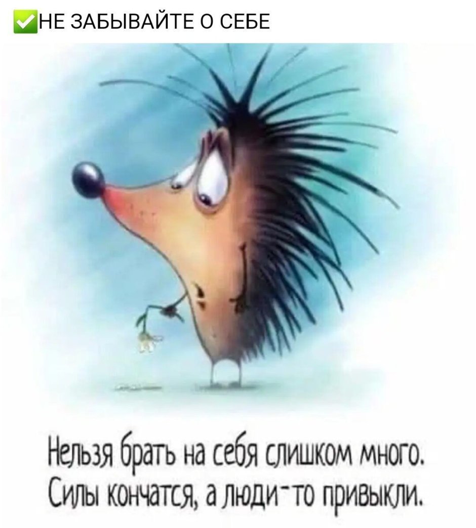 Ёжик курносый