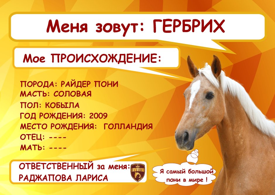 Аргамак Шер Ювентус