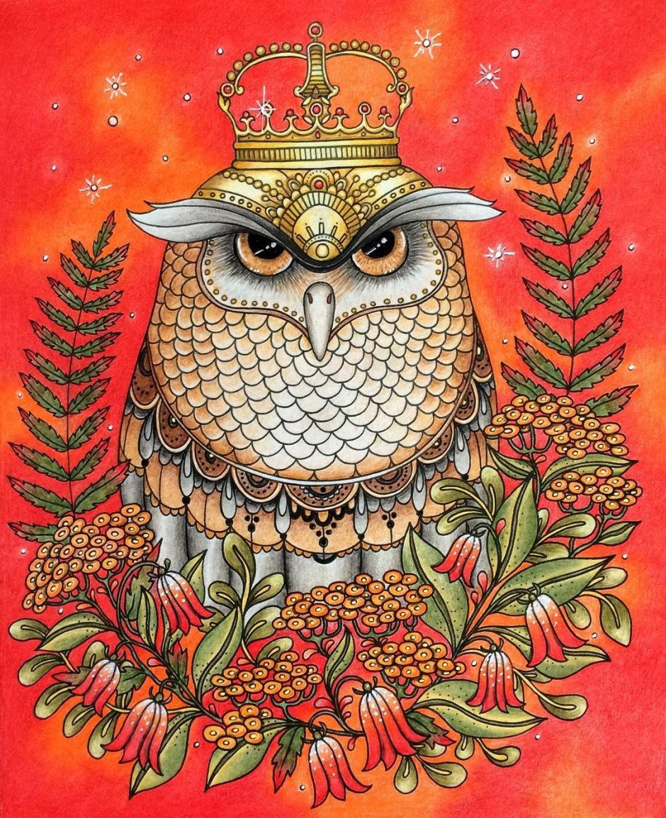 Сова рисунок