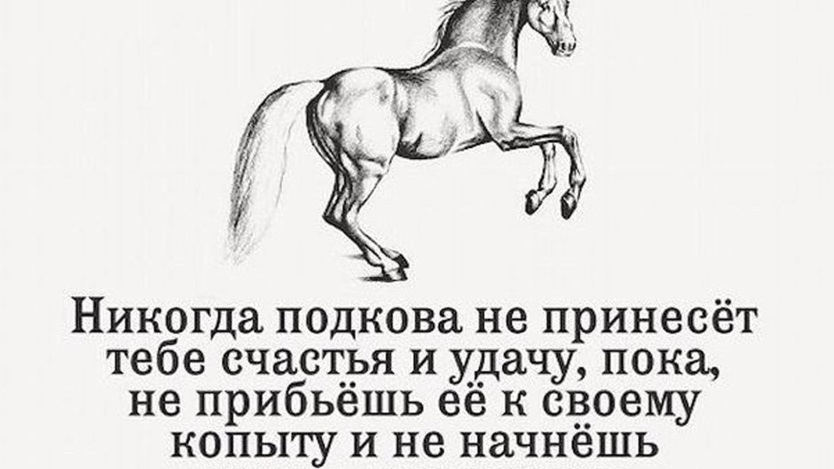 Фразы про лошадей