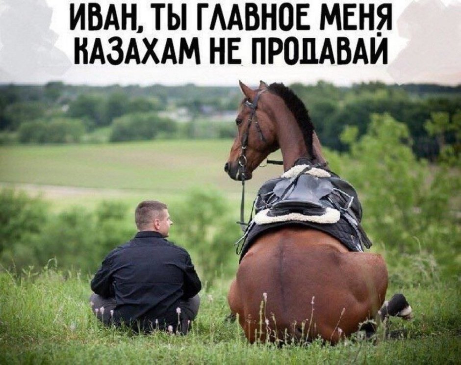 Анекдоты про казахов смешные