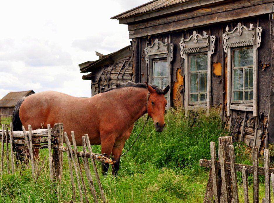 Деревенька, деревня Лошиха