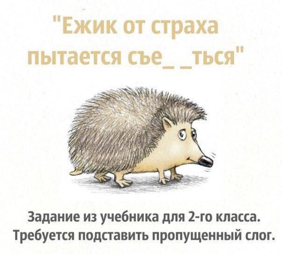 Смешной Ежик
