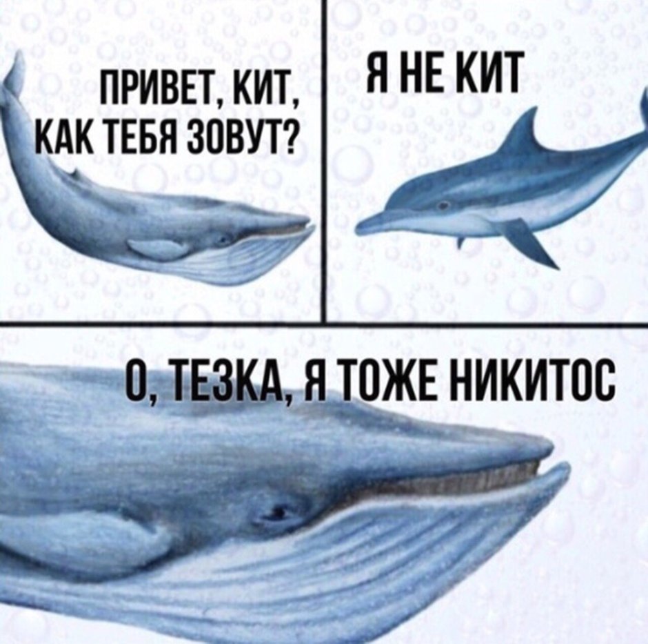Мемы про китов