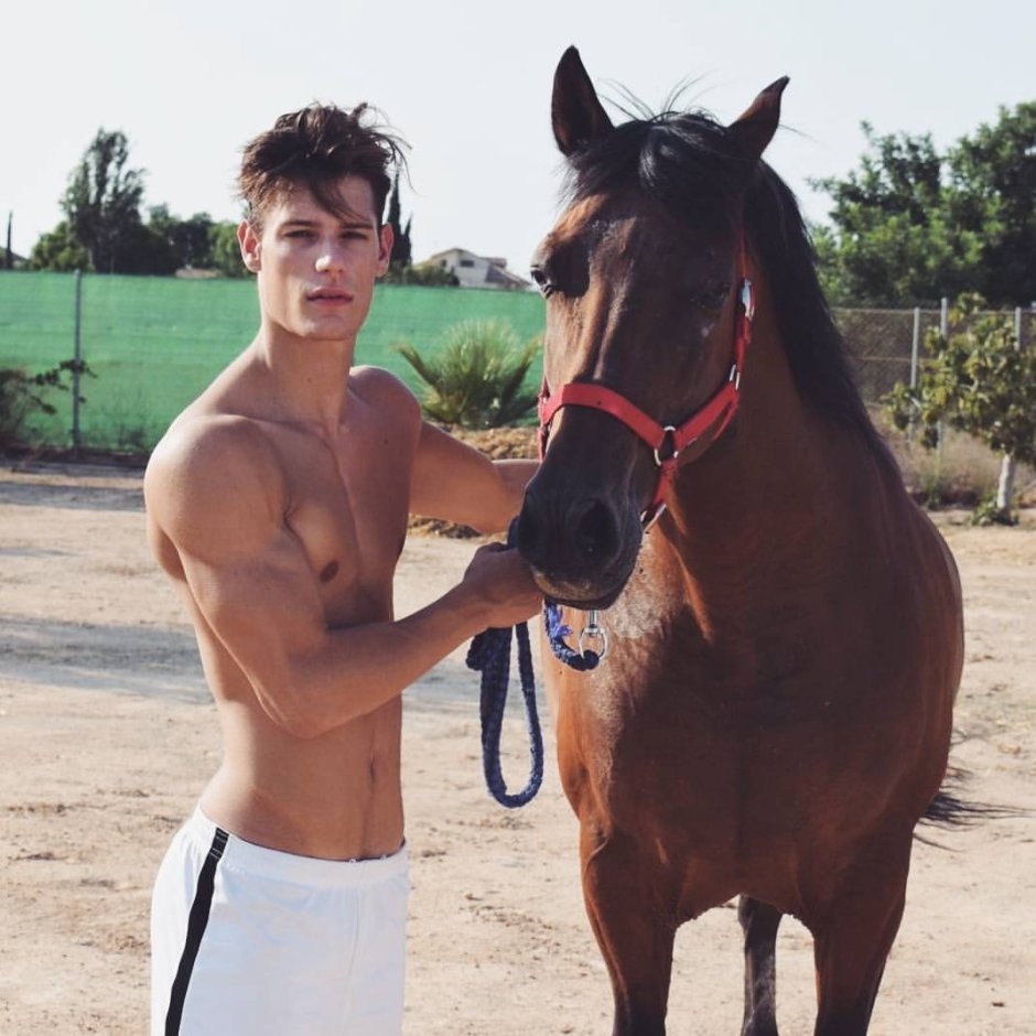 Rein сериал