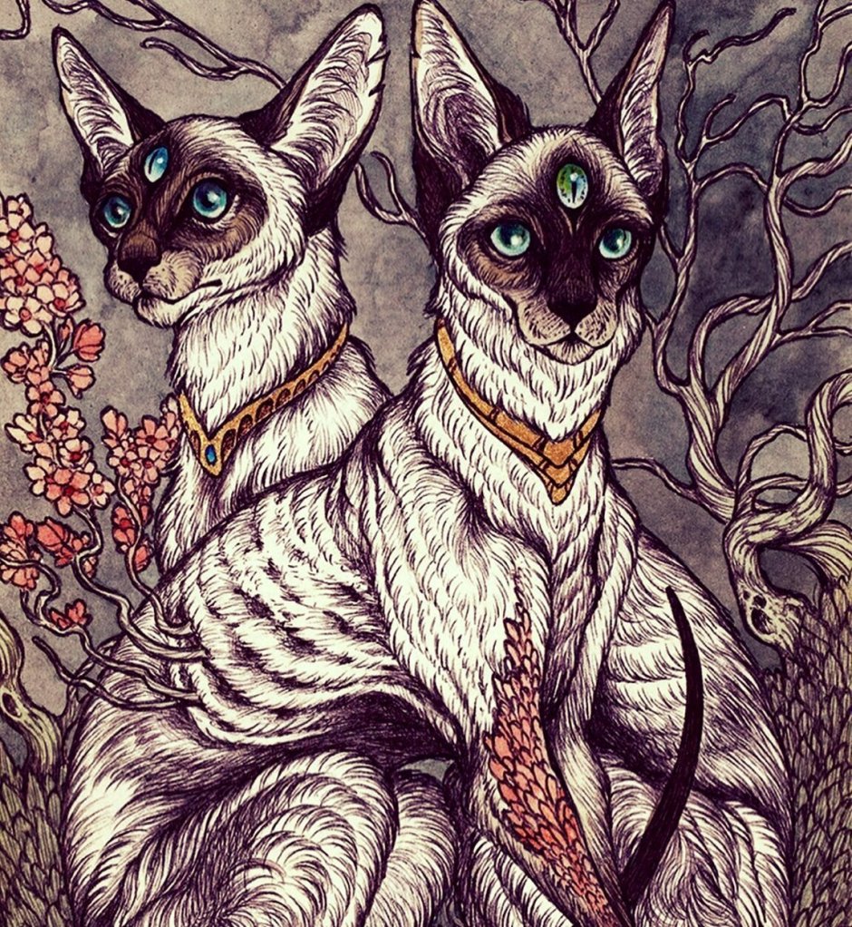 Кошка с тремя глазами