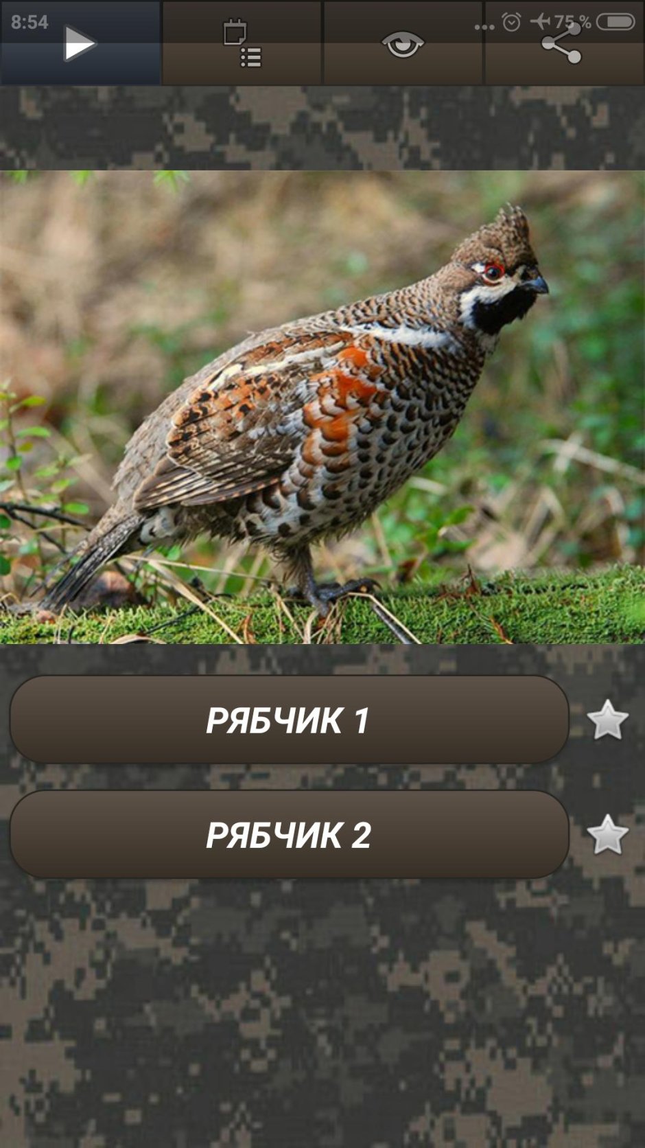 Тетерев секач