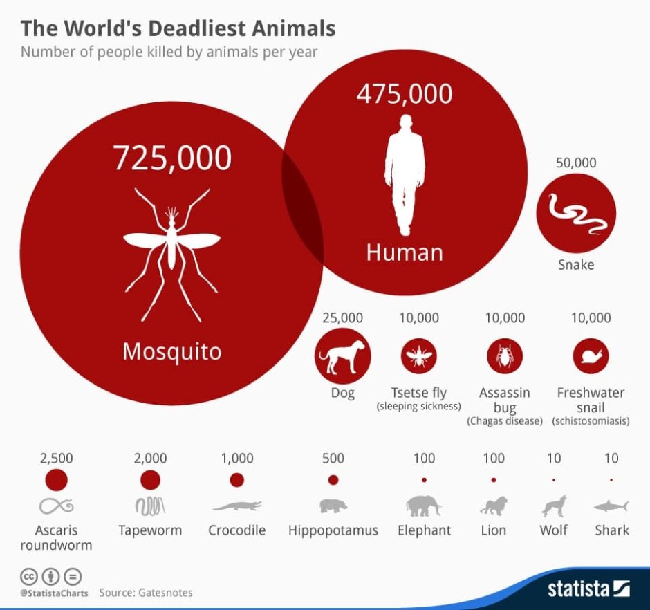 World's Deadliest animals