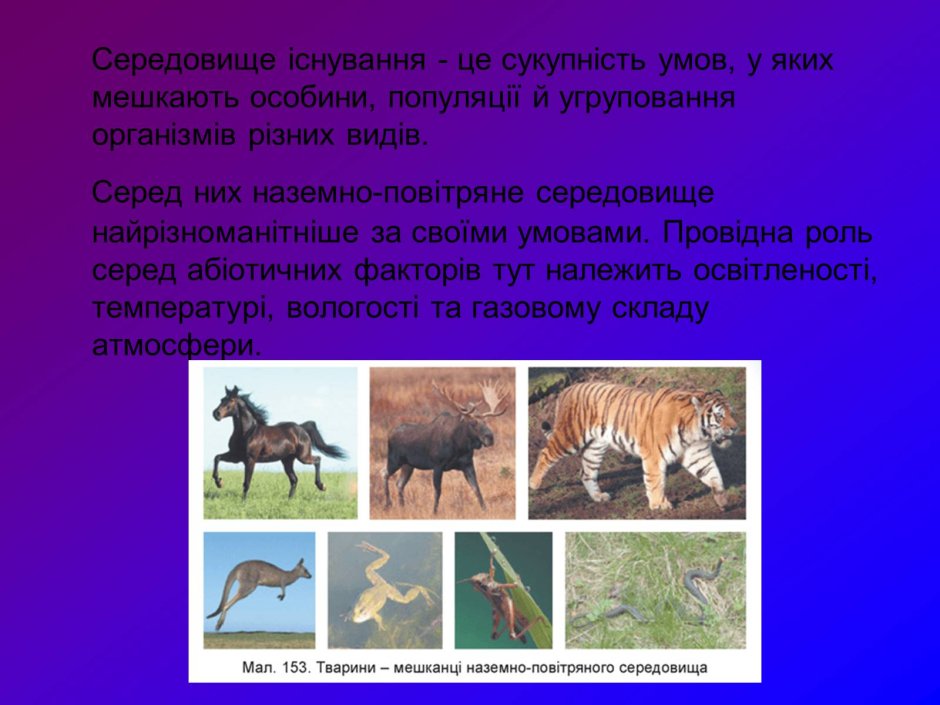 Наземно середовище існування