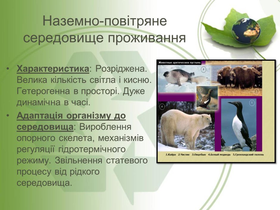 Ознаки адаптованості наземно повітряного середовища