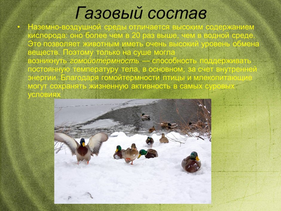 Газовый состав наземно воздушной среды