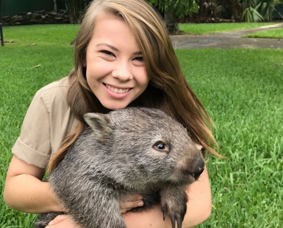 Карликовый вомбат