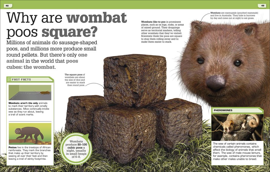 Помет вомбата