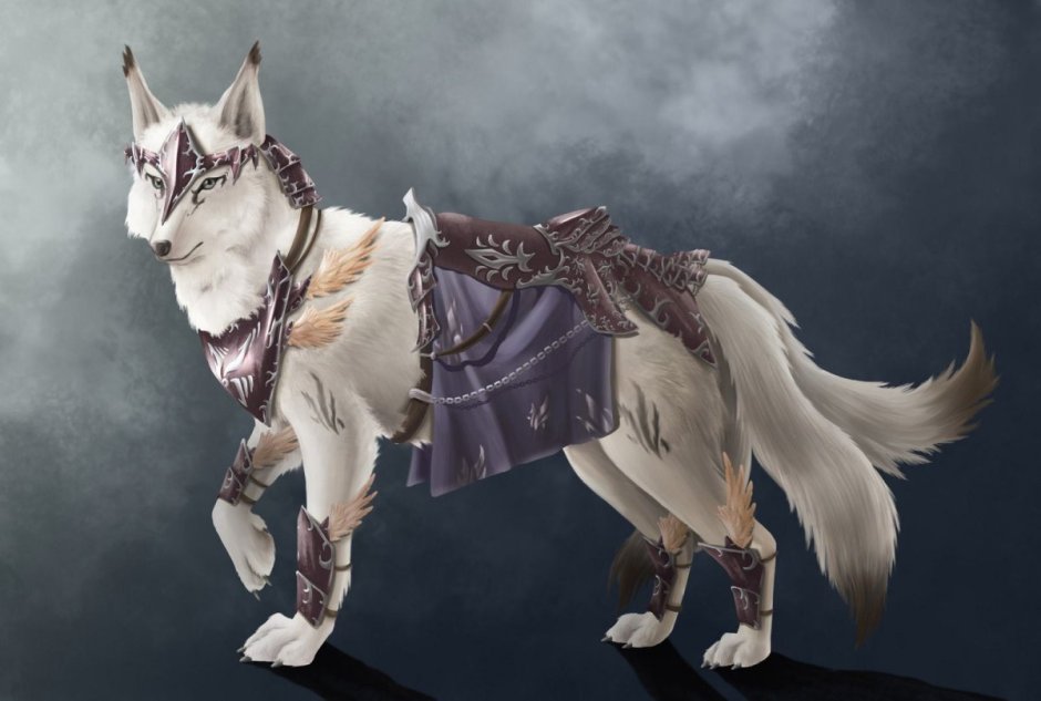 Волк (лат. Canis Lupus)